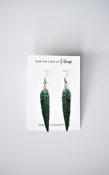 Philodendron Patriciae Plant Earrings | Leaf Earrings