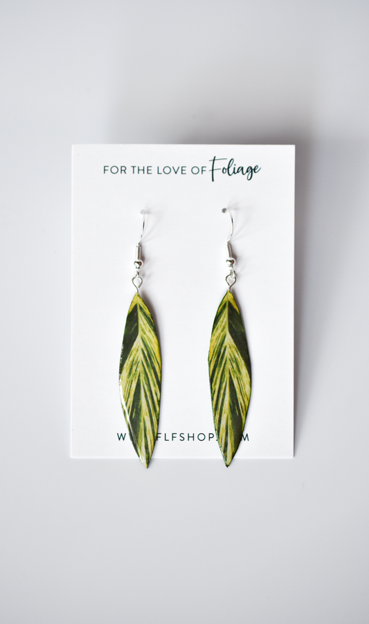 Alpinia Zerumbet Variegata "Shell Ginger" Plant Earrings | Leaf Earrings