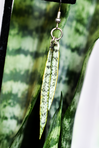 Sansevieria "Snake Plant" Earrings | Leaf Earrings