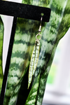 Sansevieria "Snake Plant" Earrings | Leaf Earrings
