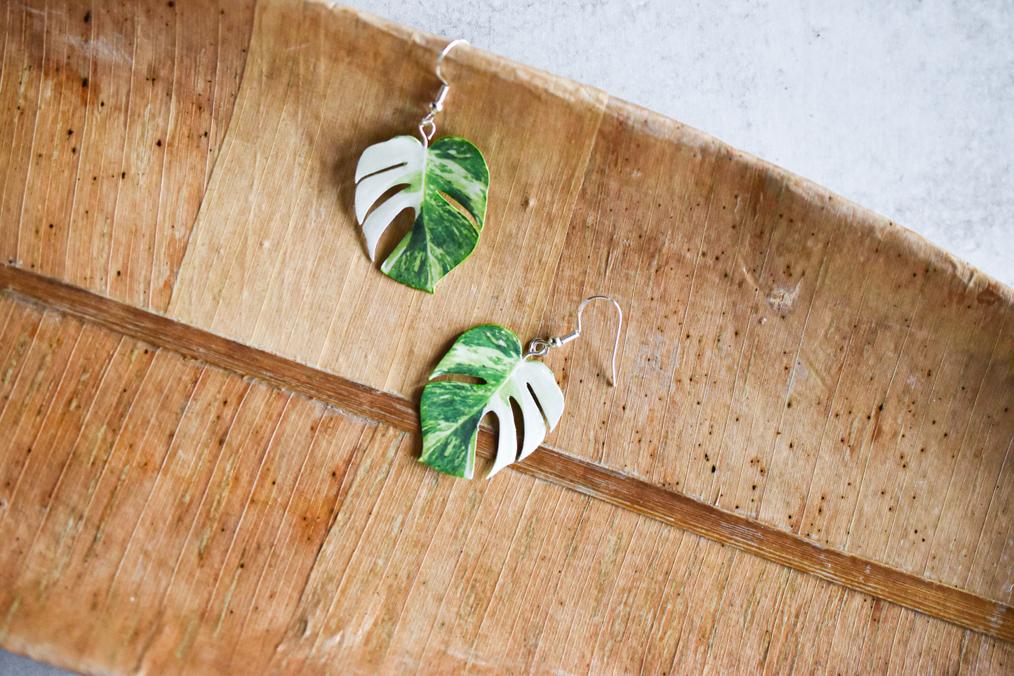 Monstera Albo Half Moon Plant Earrings | Leaf Earrings