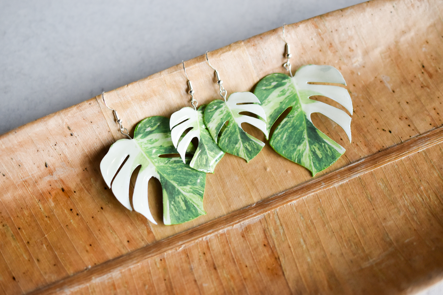 Monstera Albo Half Moon Plant Earrings | Leaf Earrings