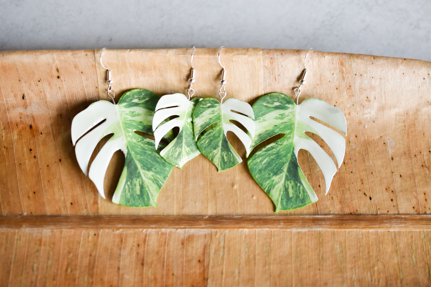 Monstera Albo Half Moon Plant Earrings | Leaf Earrings