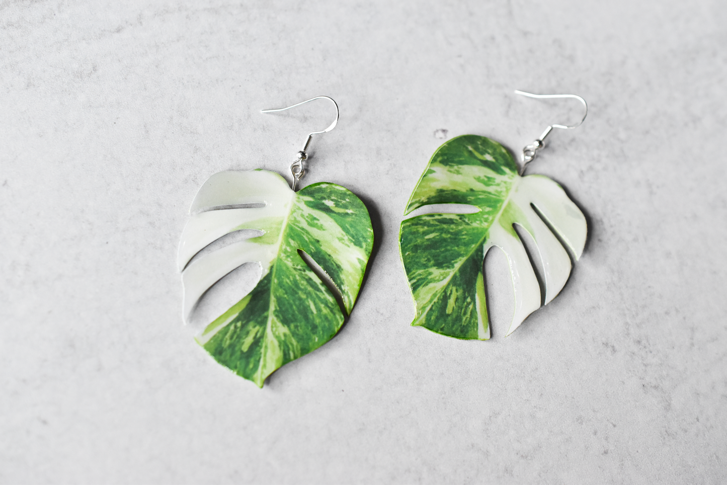 Monstera Albo Half Moon Plant Earrings | Leaf Earrings