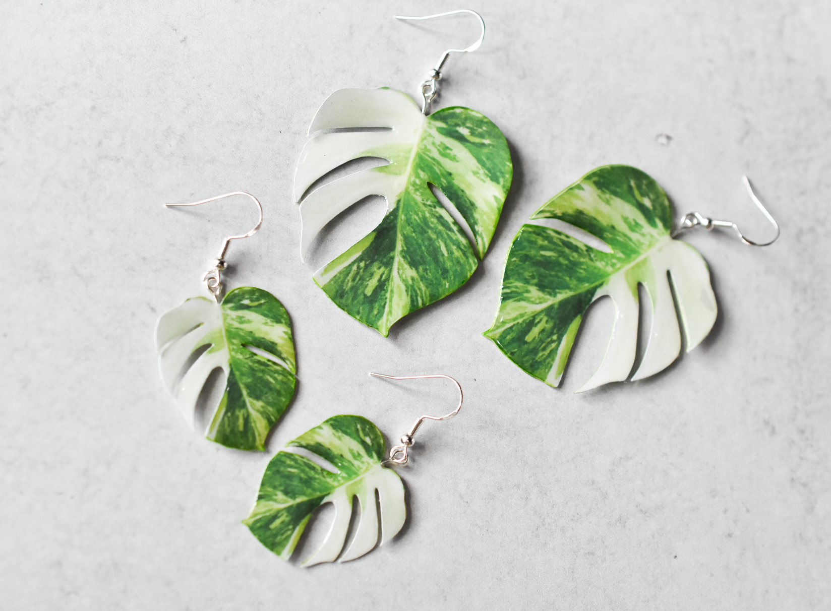 monstera leaf earrings Monstera Albo Half Moon Plant Earrings