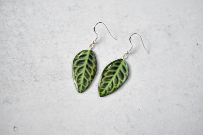 Labisia "Turtle Back" Plant Earrings | Leaf Earrings