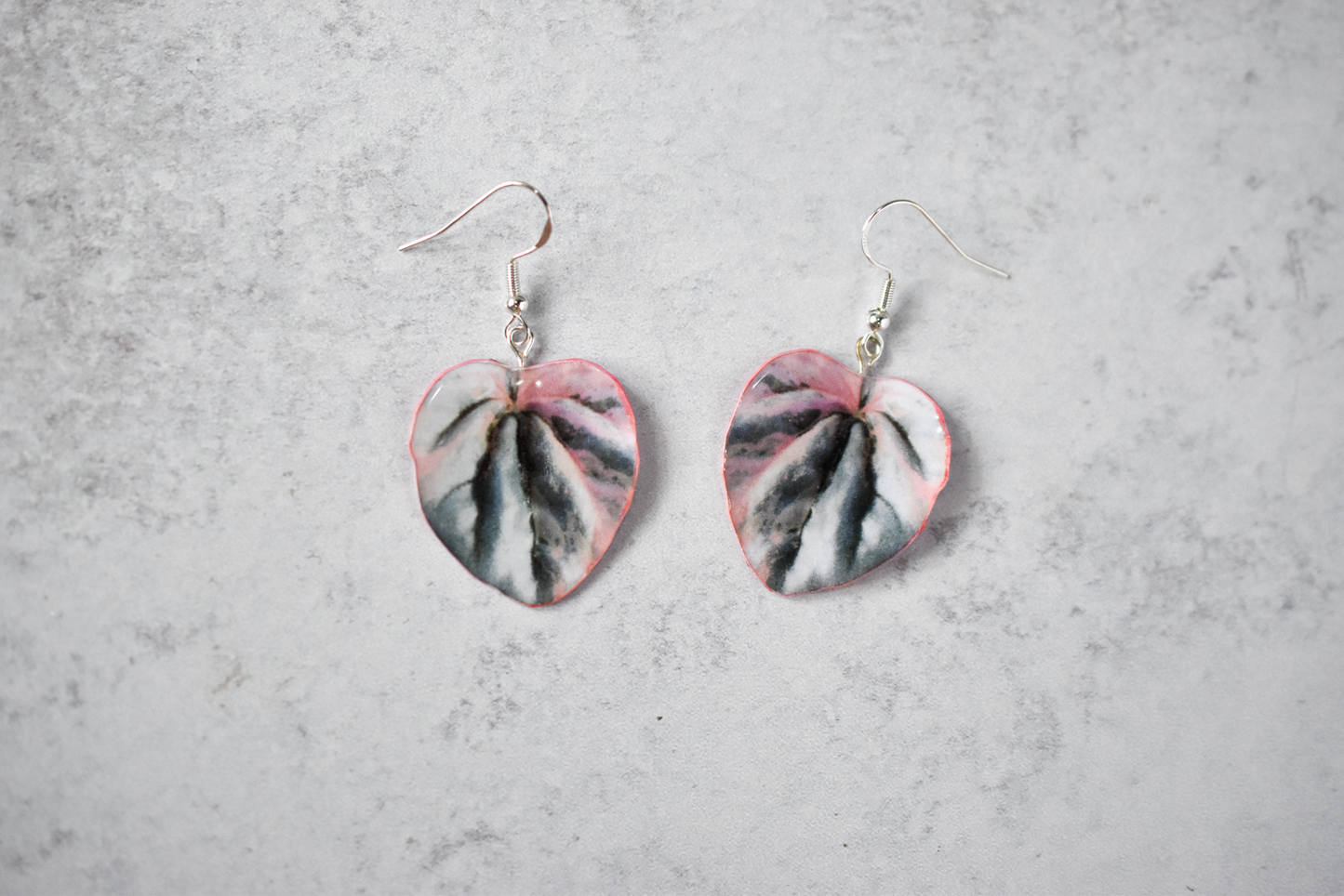 Pink Lady Peperomia Plant Earrings | Leaf Earrings