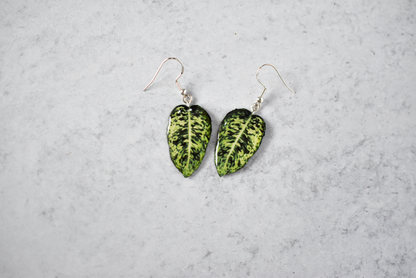 Dieffenbachia "Reflector" Plant Earrings | Leaf Earrings