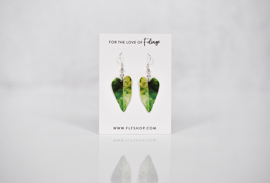 Philodendron Strawberry Shake Plant Earrings | Leaf Earrings