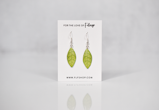 Hoya Callistophylla Plant Earrings | Leaf Earrings