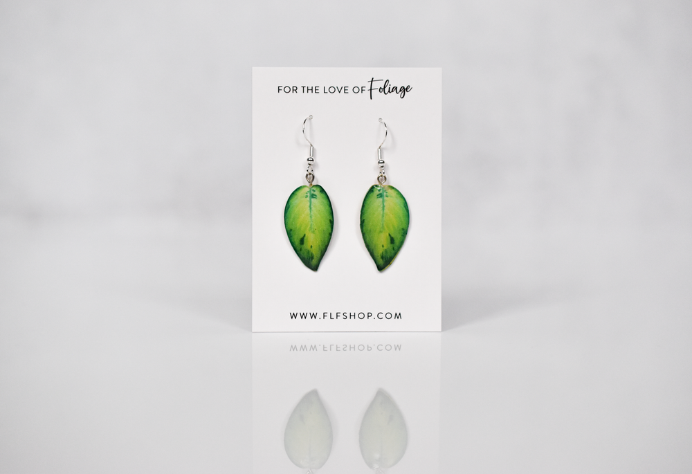 Homalomena Selby Plant Earrings | Leaf Earrings