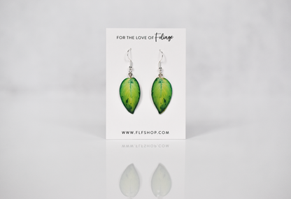 Homalomena Selby Plant Earrings | Leaf Earrings
