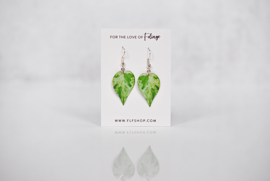 Variegated Heart Leaf Philodendron Plant Earrings | Leaf Earrings