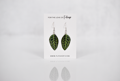 Labisia "Turtle Back" Plant Earrings | Leaf Earrings
