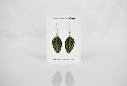 Labisia "Turtle Back" Plant Earrings | Leaf Earrings