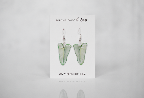 Philodendron Silver Sword Iridescent Plant Earrings | Leaf Earrings