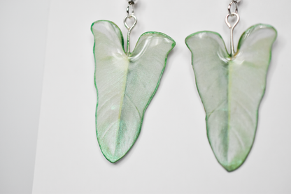 Philodendron Silver Sword Iridescent Plant Earrings | Leaf Earrings