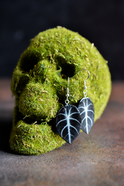 Alocasia Ninja Black Plant Earrings | Leaf Earrings