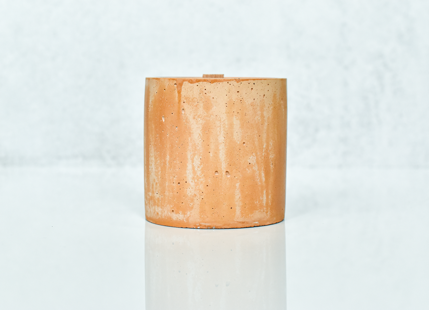 Indirect Sunlight | Philodendron Inspired Earth Glow Candle | 8.5oz Natural Soy Wood Wick