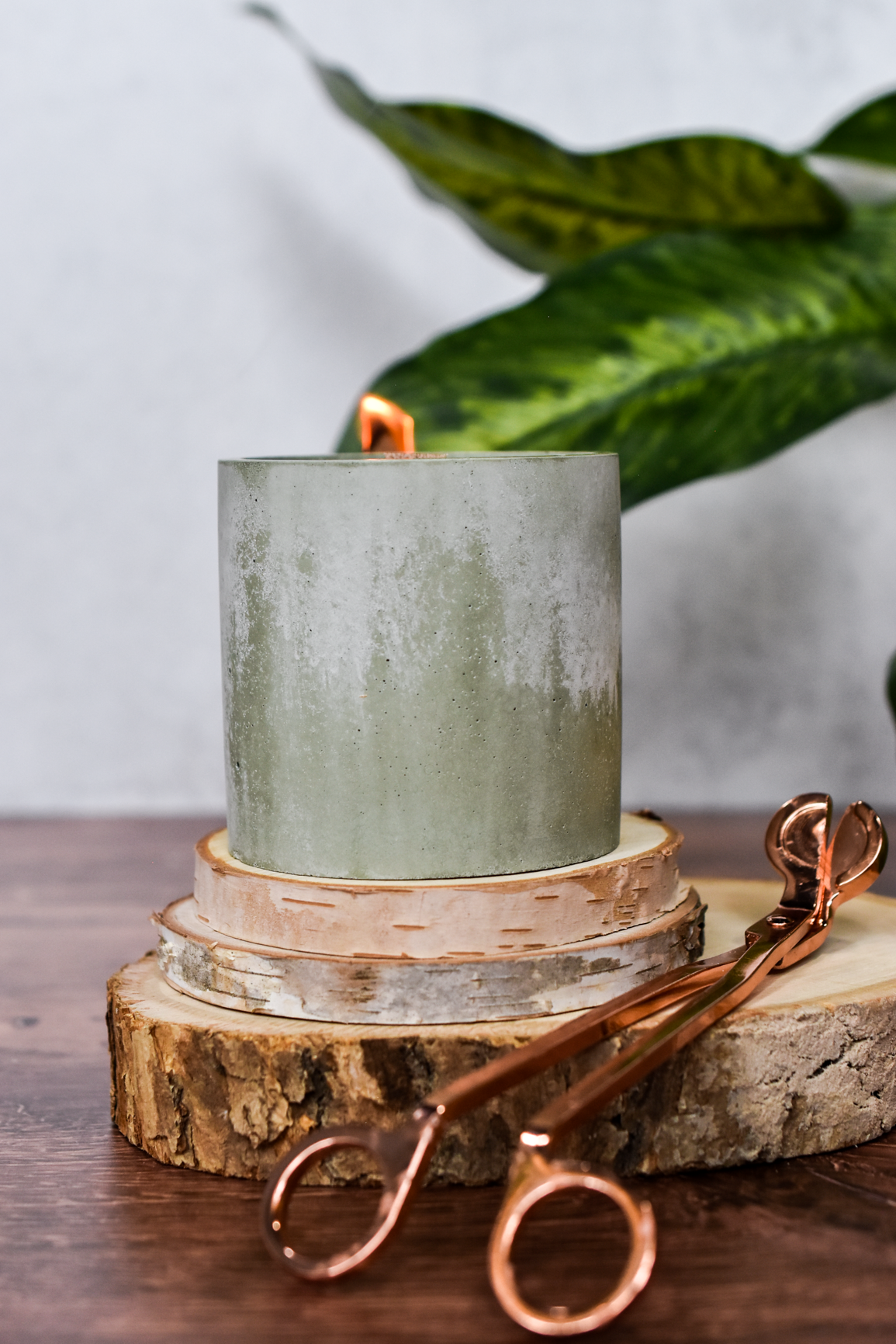 Fresh Foliage | Monstera Inspired Earth Glow Candle | 8.5oz Natural Soy Wood Wick