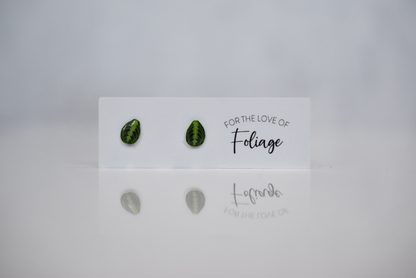 Lemon Lime Maranta Stud Earrings | Leaf Earrings