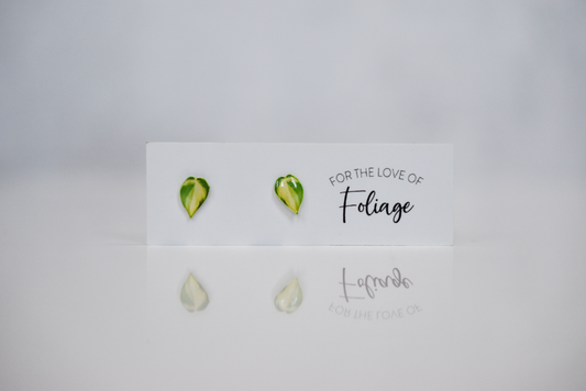Philodendron Brasil Stud Earrings | Leaf Earrings