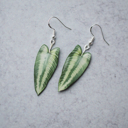 Schismatoglottis Wallichii Plant Earrings | Leaf Earrings