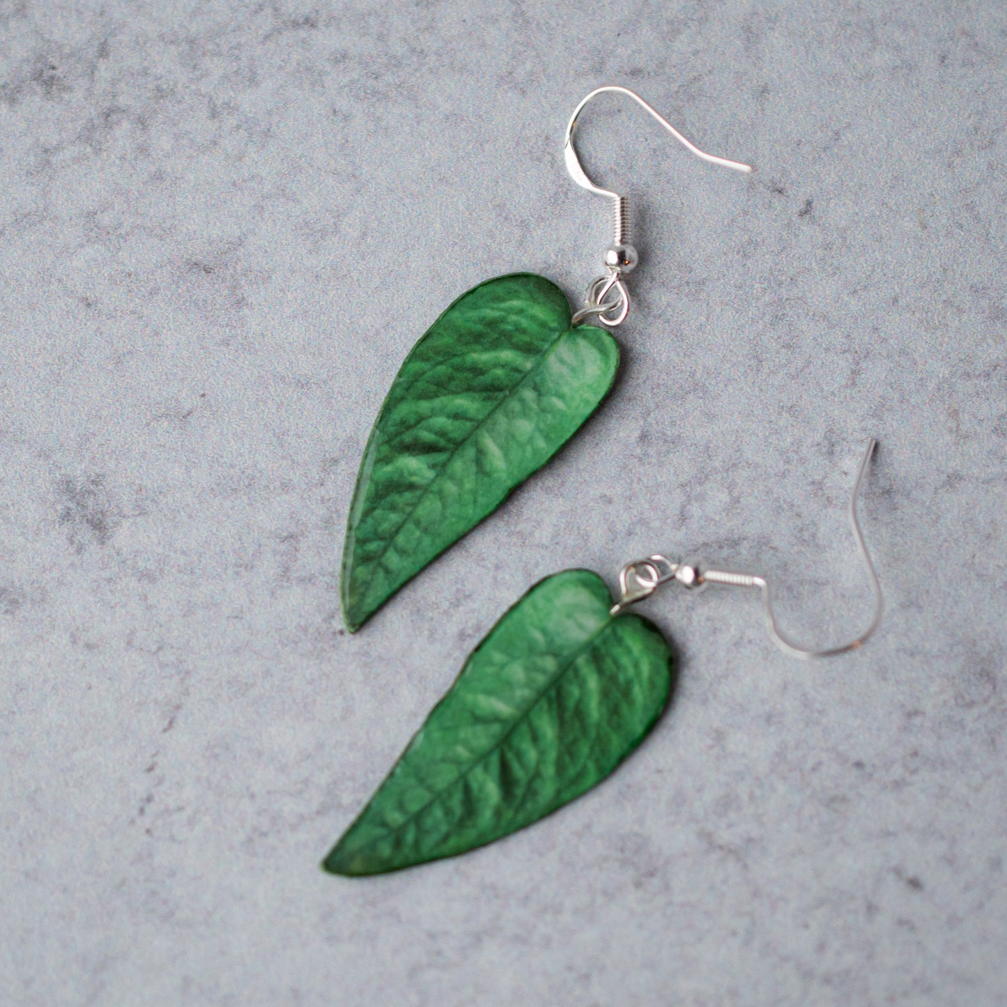 Epipremnum Pinnatum "Cebu Blue" Plant Earrings | Leaf Earrings