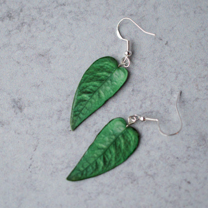 Epipremnum Pinnatum "Cebu Blue" Plant Earrings | Leaf Earrings