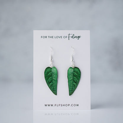 Epipremnum Pinnatum "Cebu Blue" Plant Earrings | Leaf Earrings
