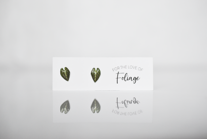 Anthurium Regale Stud Earrings | Leaf Earrings