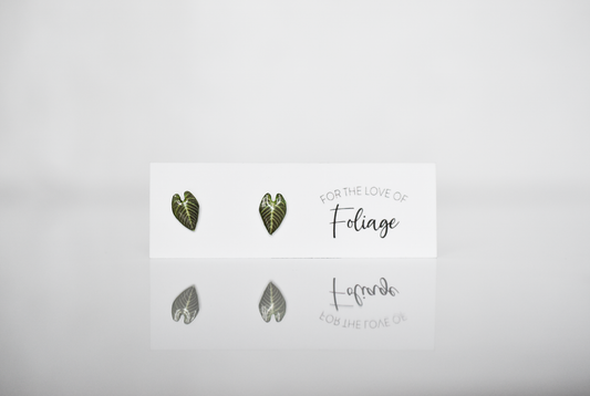 Anthurium Regale Stud Earrings | Leaf Earrings