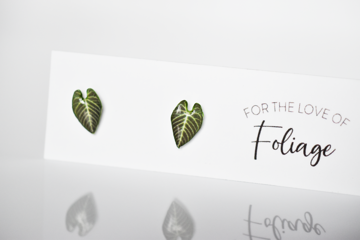 Anthurium Regale Stud Earrings | Leaf Earrings