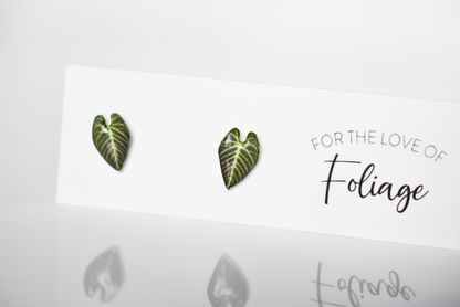 Anthurium Regale Stud Earrings | Leaf Earrings