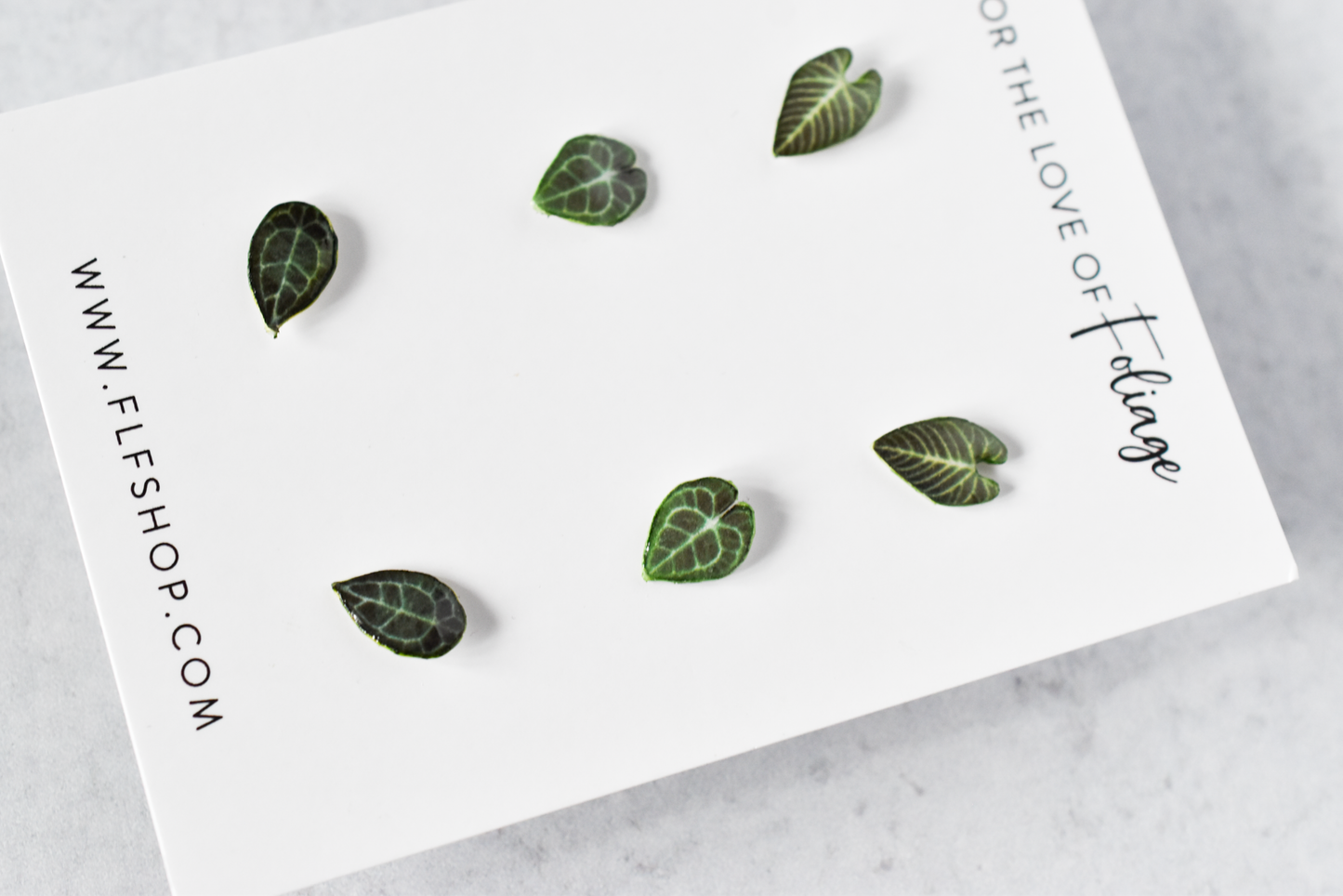 Anthurium Stud Earring 3-Pack | Leaf Earrings | Clarinervium | Regale | Forgetii