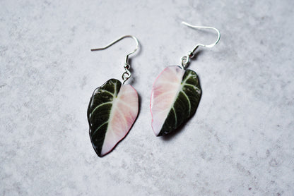 Alocasia Black Velvet Half Moon Plant Earrings | Leaf Earrings