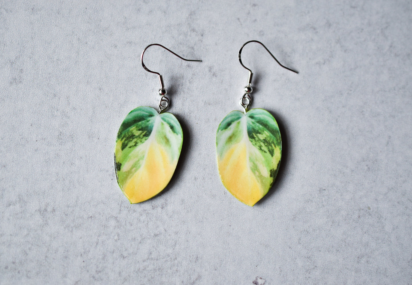 Variegated Philodendron Micans Plant Earrings | Leaf Earrings