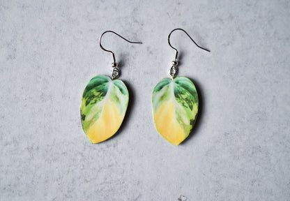Variegated Philodendron Micans Plant Earrings | Leaf Earrings