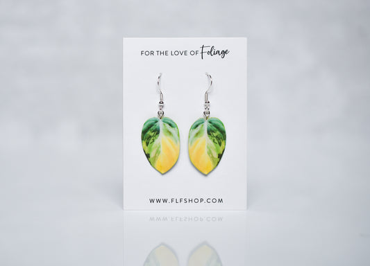 Variegated Philodendron Micans Plant Earrings | Leaf Earrings