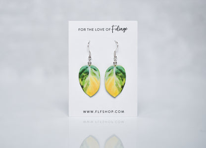 Variegated Philodendron Micans Plant Earrings | Leaf Earrings