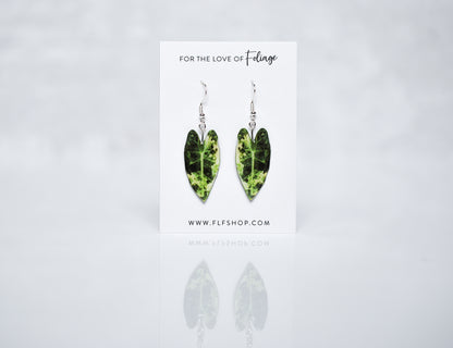 Variegated Alocasia Frydek Plant Earrings | Leaf Earrings