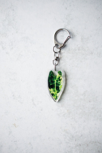 NEW Acrylic Mini Leaf Keychains