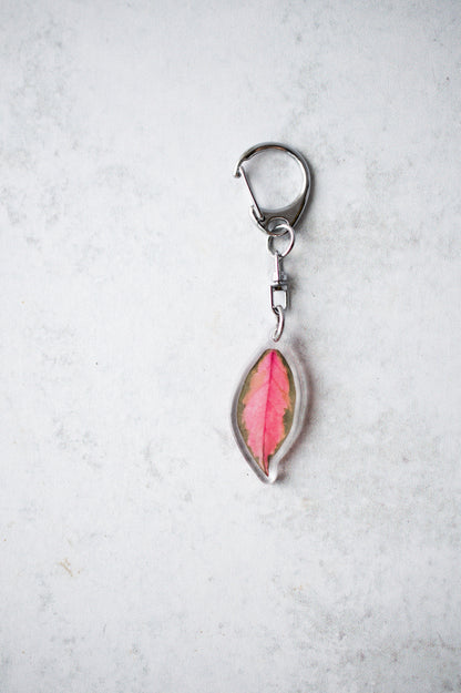 NEW Acrylic Mini Leaf Keychains