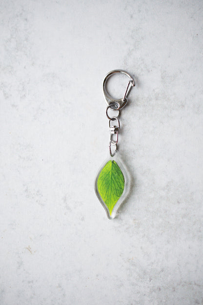 NEW Acrylic Mini Leaf Keychains