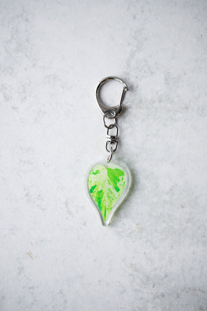NEW Acrylic Mini Leaf Keychains