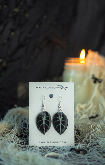 Alocasia Ninja Black Plant Earrings | Leaf Earrings