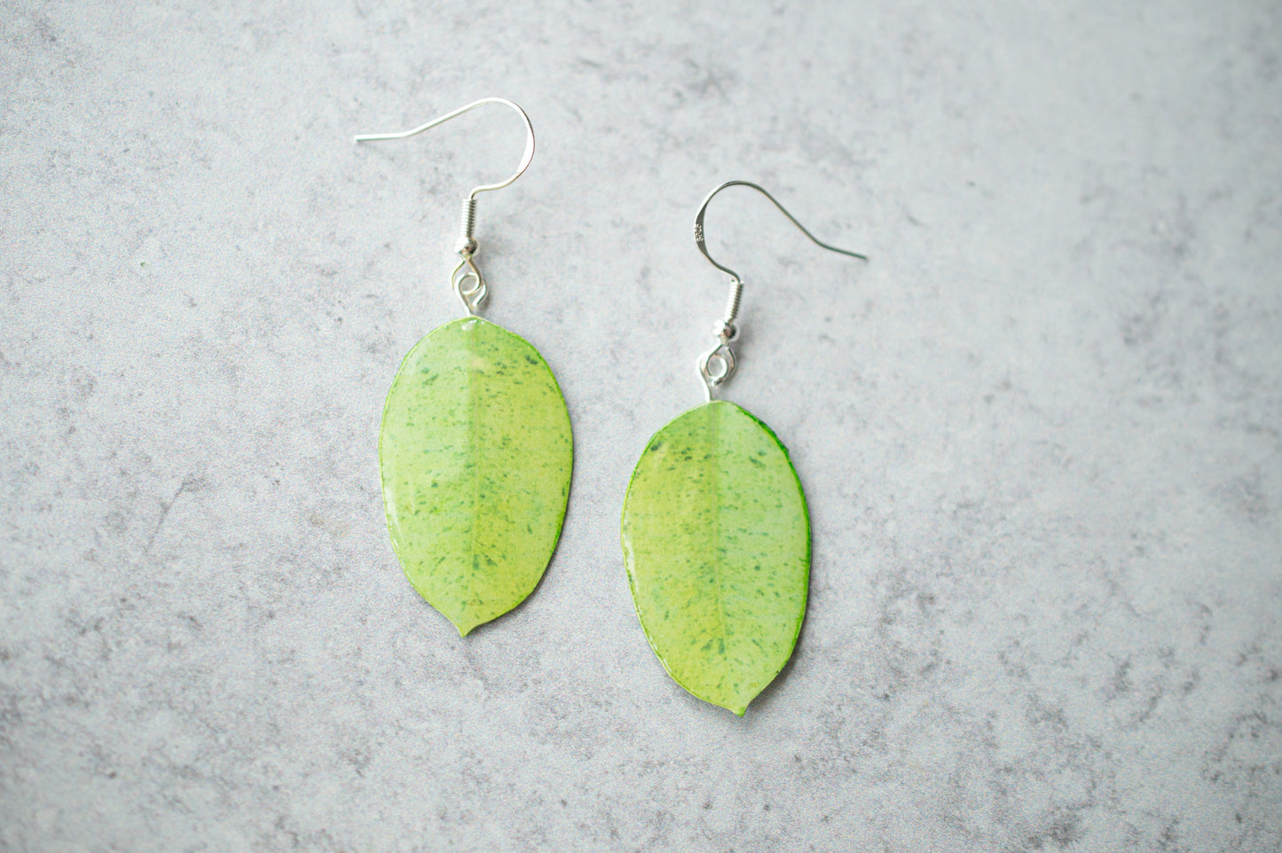 Ficus Shivereana "Moonshine" Plant Earrings | Leaf Earrings