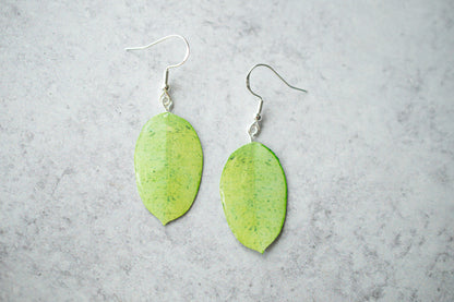 Ficus Shivereana "Moonshine" Plant Earrings | Leaf Earrings