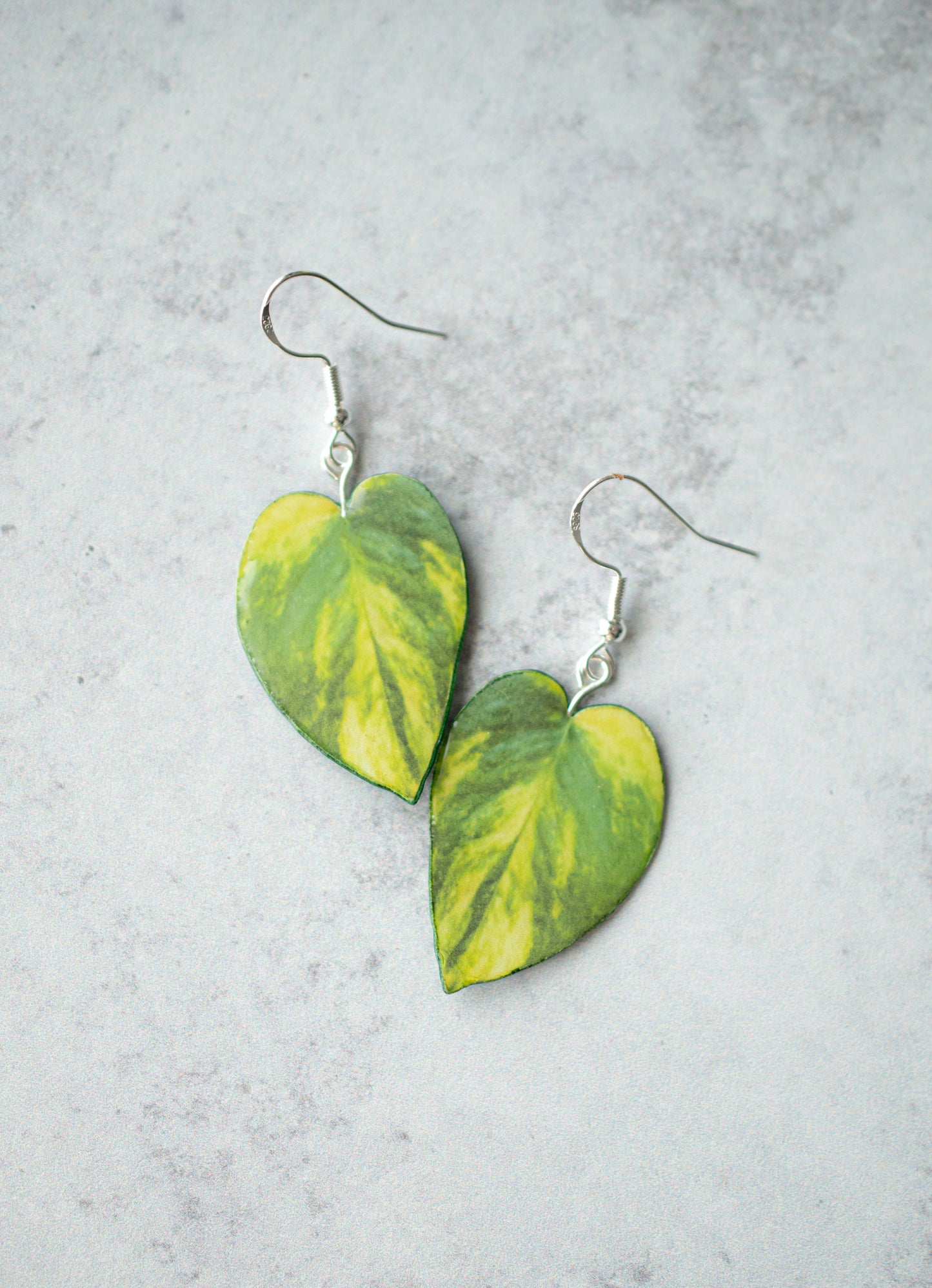 Epipremnum Aureum "Golden Pothos" Plant Earrings | Leaf Earrings