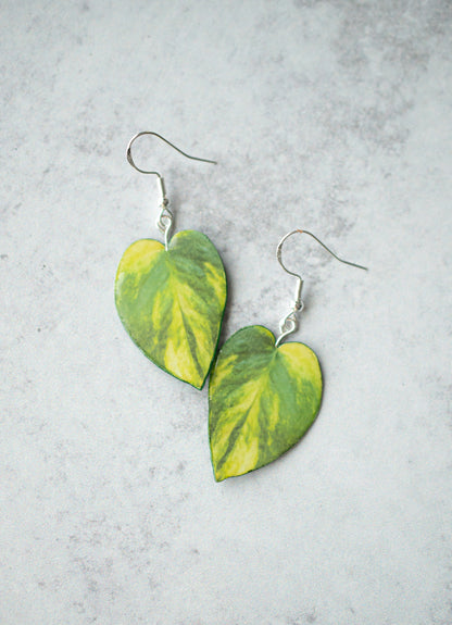 Epipremnum Aureum "Golden Pothos" Plant Earrings | Leaf Earrings